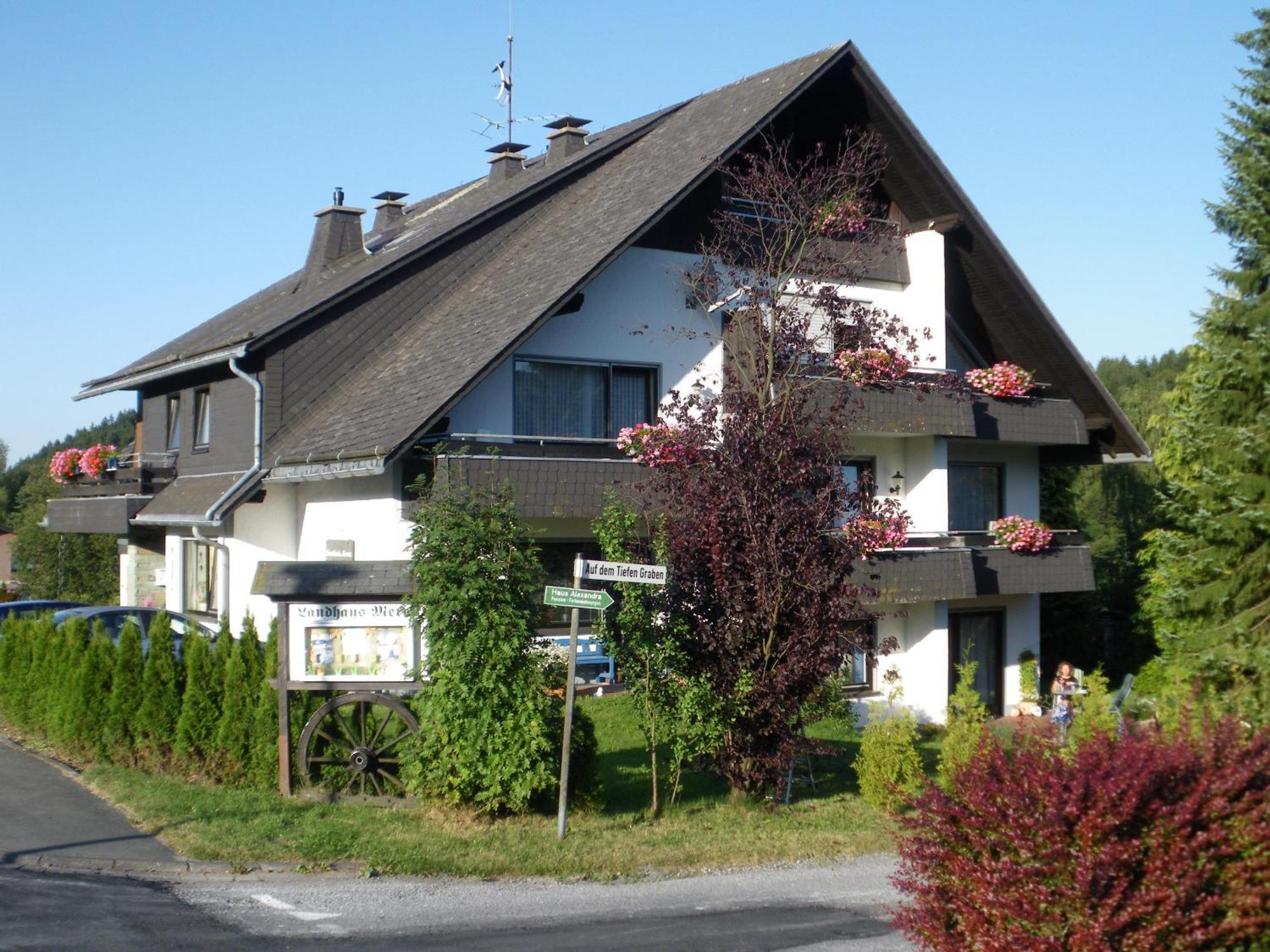 Ferienwohnungen Landhaus Meran Inkl Meinecardplus Виллинген Экстерьер фото