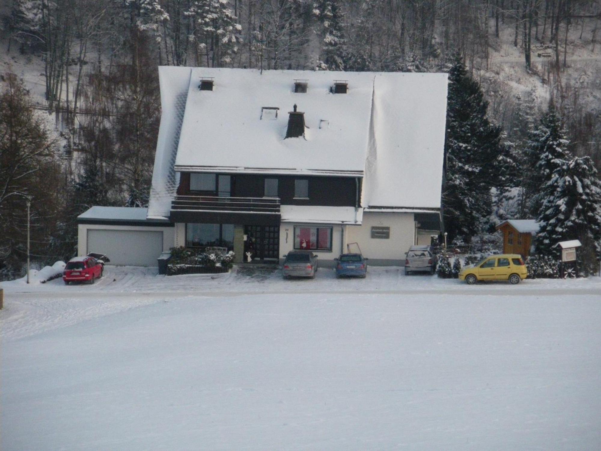Ferienwohnungen Landhaus Meran Inkl Meinecardplus Виллинген Экстерьер фото